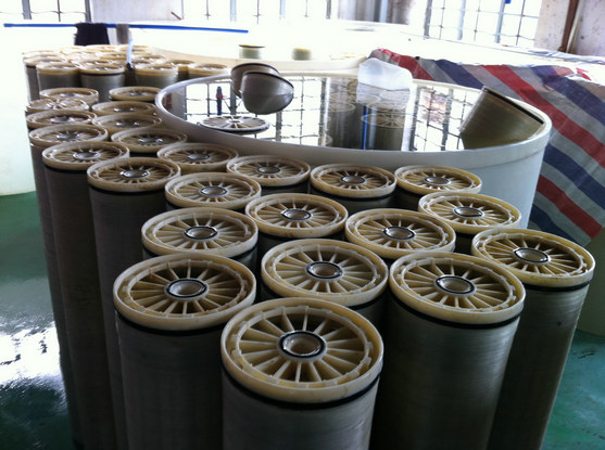 IMG_0971.JPG IMG_0971.JPG